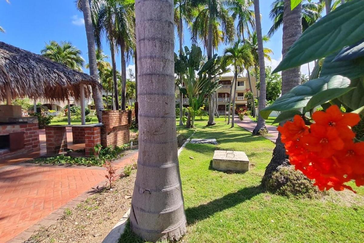 Hotel Cortecito Inn Bavaro Punta Cana Exterior photo